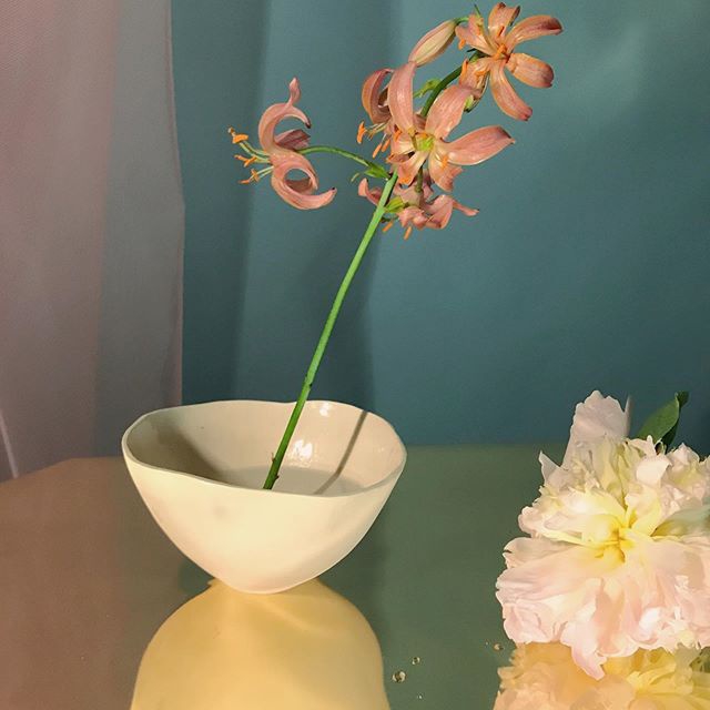 天马行空的色彩搭配 不同姿态的花卉