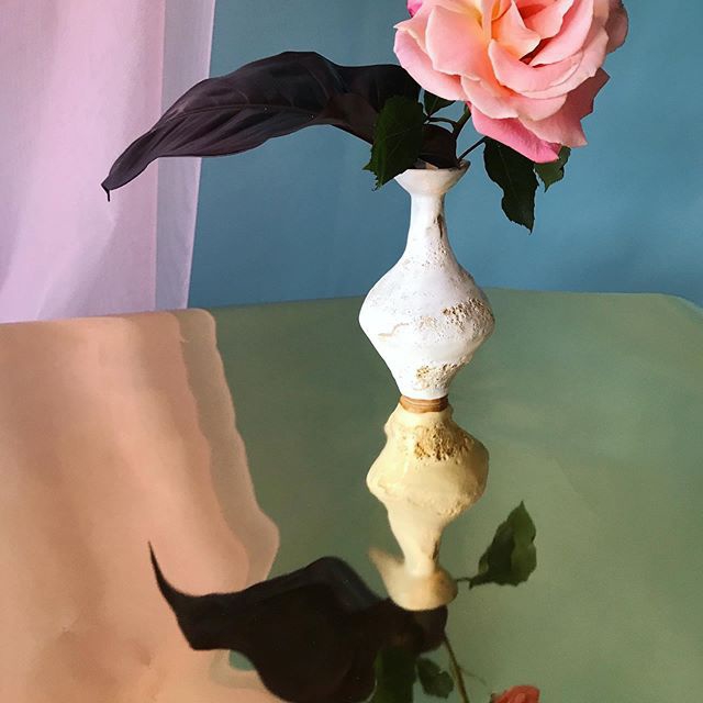 天马行空的色彩搭配 不同姿态的花卉