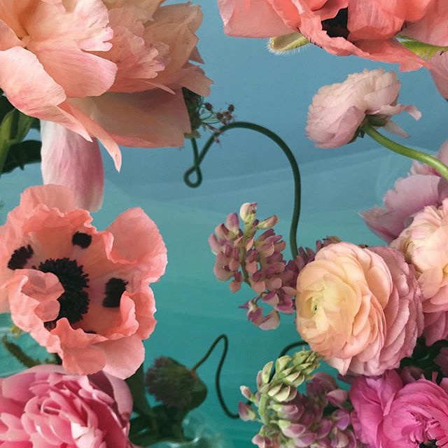 天马行空的色彩搭配 不同姿态的花卉